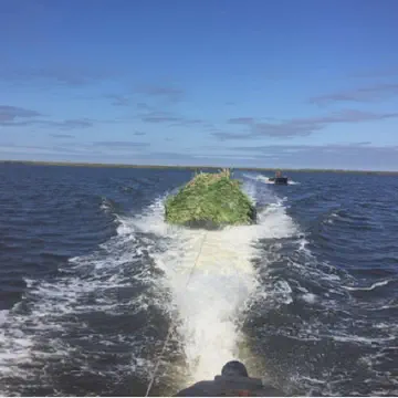 Floating Drive in Duck Blind