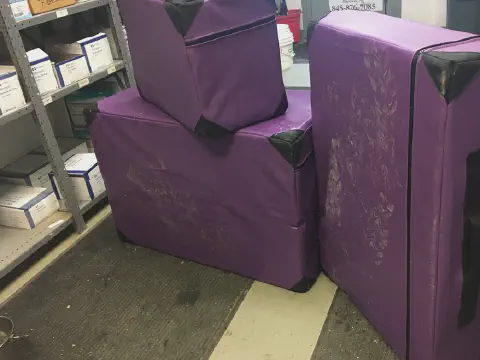 Veterinarians Used EPS Foam Blocks to Stand on When Examining Farm Animals